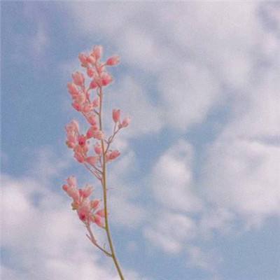 正规AG捕鱼王平台