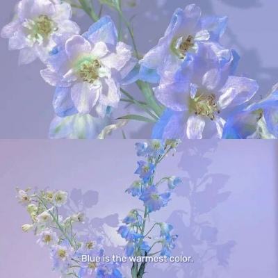 爱体育官方网站下载手机版