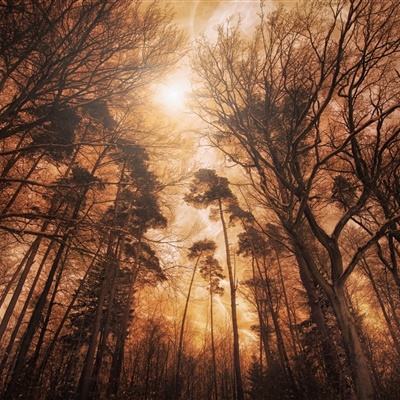 注册就送38的平台