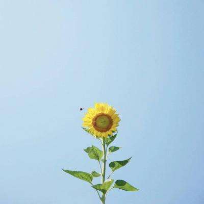 万博ManBetX登录网页版