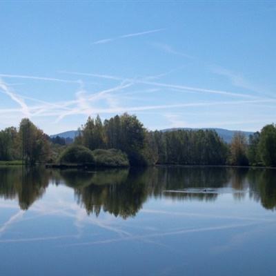 yaboapp手机官网截图