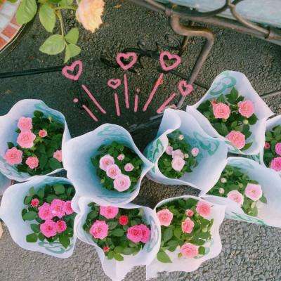 kaiyun·开云下载手机版