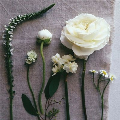 yaboapp手机官网截图