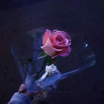 im电竞官方app下载