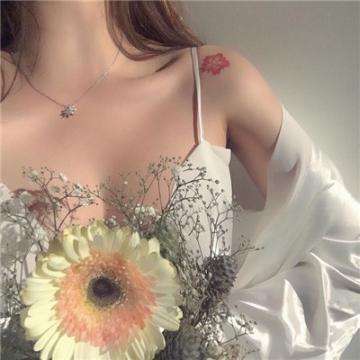 BSportAPP在线登录